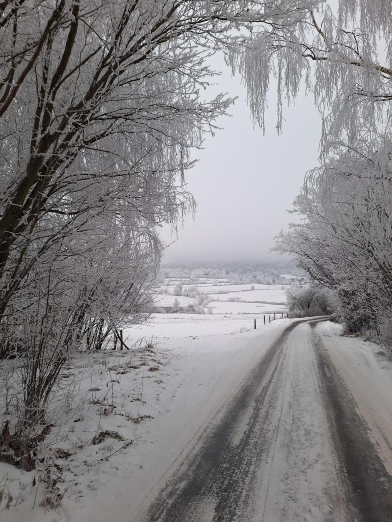 Ubytovani U Krivanku 2 Telč Buitenkant foto
